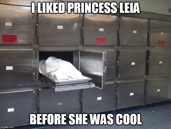 Princess Leia | I LIKED PRINCESS LEIA; BEFORE SHE WAS COOL | image tagged in celebrity,princess leia | made w/ Imgflip meme maker