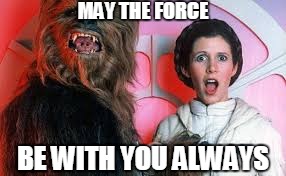 MAY THE FORCE; BE WITH YOU ALWAYS | image tagged in carriefisher | made w/ Imgflip meme maker