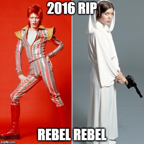 rebel_rebel | 2016 RIP; REBEL REBEL | image tagged in rebel_rebel | made w/ Imgflip meme maker