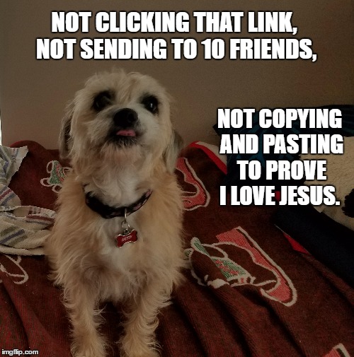 Not Clicking that link | NOT CLICKING THAT LINK, NOT SENDING TO 10 FRIENDS, NOT COPYING AND PASTING TO PROVE I LOVE JESUS. | image tagged in funny dog,rebel,the truth,sticking tongue out,lol,tell it like it is | made w/ Imgflip meme maker