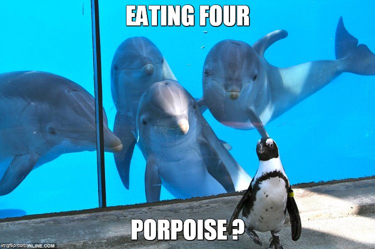 EATING FOUR; PORPOISE ? | image tagged in four,porpoise,for,purposes,purpose | made w/ Imgflip meme maker