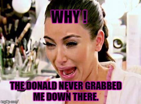 Trump didn't grab me | WHY ! THE DONALD NEVER GRABBED ME DOWN THERE. | image tagged in kim kardashian,donald trump,crying,funny | made w/ Imgflip meme maker