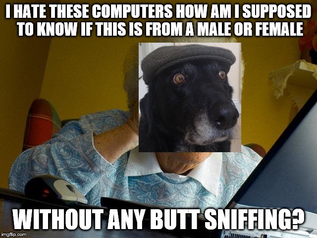 Grandma Finds The Internet Meme | I HATE THESE COMPUTERS HOW AM I SUPPOSED TO KNOW IF THIS IS FROM A MALE OR FEMALE WITHOUT ANY BUTT SNIFFING? | image tagged in memes,grandma finds the internet | made w/ Imgflip meme maker