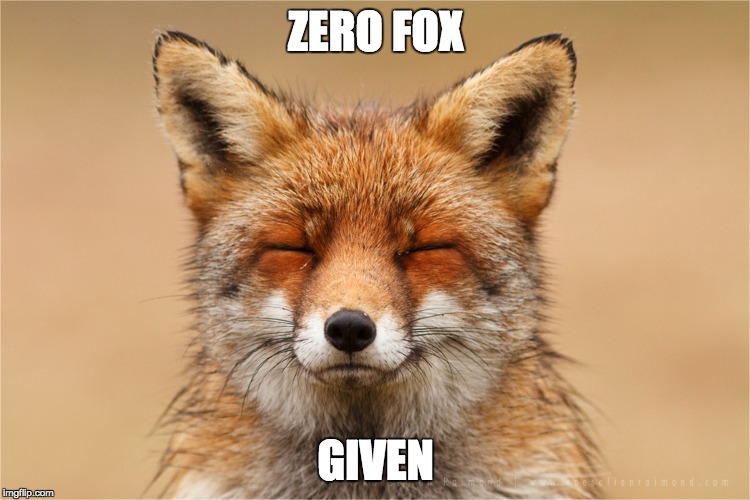 Zero fox given | ZERO FOX; GIVEN | image tagged in fox | made w/ Imgflip meme maker