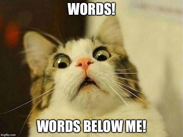 Scared Cat Meme | WORDS! WORDS BELOW ME! | image tagged in memes,scared cat | made w/ Imgflip meme maker