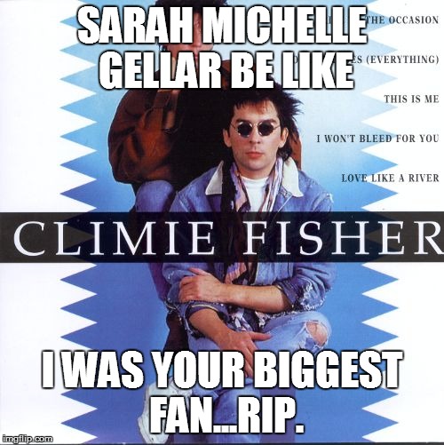 SMG Be Like... | SARAH MICHELLE GELLAR BE LIKE; I WAS YOUR BIGGEST FAN...RIP. | image tagged in 2016,smg | made w/ Imgflip meme maker