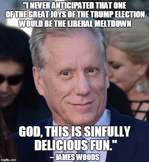 Now THAT's entertainment! | "I NEVER ANTICIPATED THAT ONE OF THE GREAT JOYS OF THE TRUMP ELECTION WOULD BE THE LIBERAL MELTDOWN; GOD, THIS IS SINFULLY DELICIOUS FUN."; -- JAMES WOODS | image tagged in james woods,retarded liberal protesters,words that offend liberals,schadenfreude | made w/ Imgflip meme maker