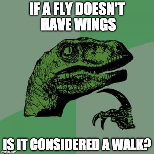 Philosoraptor Meme | IF A FLY DOESN'T HAVE WINGS; IS IT CONSIDERED A WALK? | image tagged in memes,philosoraptor | made w/ Imgflip meme maker