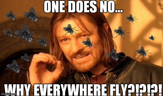 One Does No... | ONE DOES NO... WHY EVERYWHERE FLY?!?!?! | image tagged in memes,one does not simply | made w/ Imgflip meme maker
