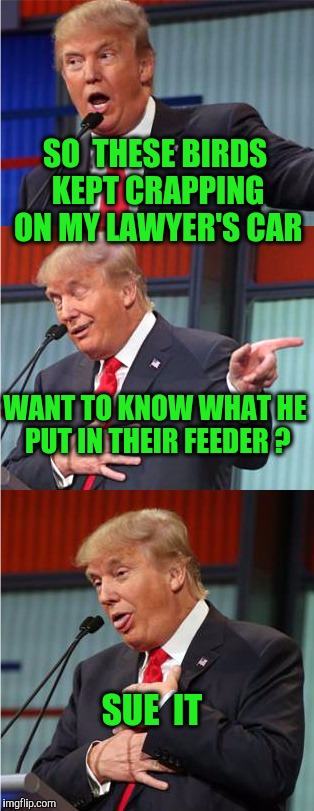 Bad Pun Trump | SO  THESE BIRDS KEPT CRAPPING ON MY LAWYER'S CAR; WANT TO KNOW WHAT HE PUT IN THEIR FEEDER ? SUE  IT | image tagged in bad pun trump,sue,birds,bird,car,sued | made w/ Imgflip meme maker