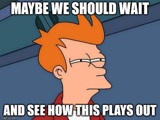 Futurama Fry Meme | MAYBE WE SHOULD WAIT AND SEE HOW THIS PLAYS OUT | image tagged in memes,futurama fry | made w/ Imgflip meme maker