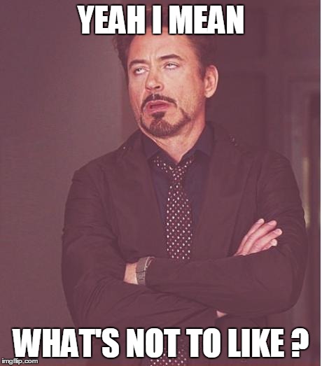 Face You Make Robert Downey Jr Meme | YEAH I MEAN WHAT'S NOT TO LIKE ? | image tagged in memes,face you make robert downey jr | made w/ Imgflip meme maker