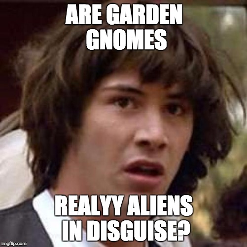 Conspiracy Keanu Meme | ARE GARDEN GNOMES; REALYY ALIENS IN DISGUISE? | image tagged in memes,conspiracy keanu | made w/ Imgflip meme maker