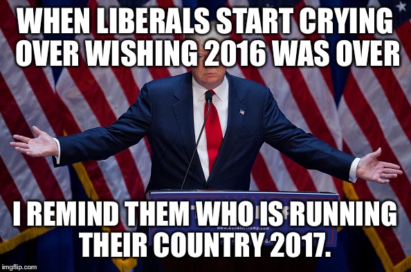 Donald Trump | WHEN LIBERALS START CRYING OVER WISHING 2016 WAS OVER; I REMIND THEM WHO IS RUNNING THEIR COUNTRY 2017. | image tagged in donald trump | made w/ Imgflip meme maker