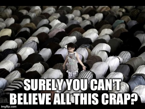 SURELY YOU CAN'T BELIEVE ALL THIS CRAP? | image tagged in crap | made w/ Imgflip meme maker