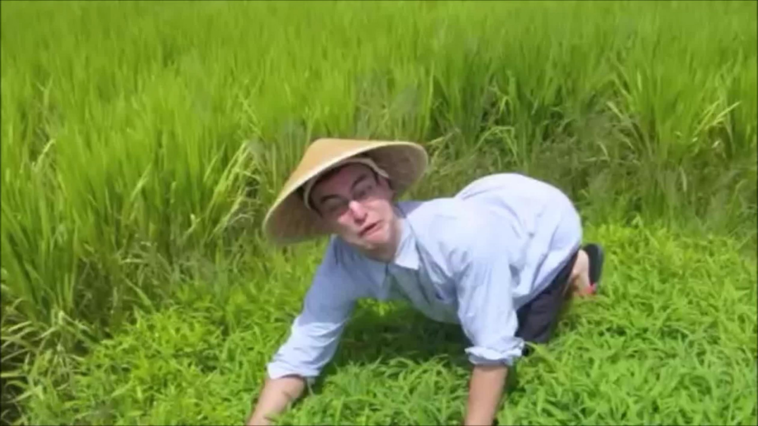 High Quality Rice field Blank Meme Template