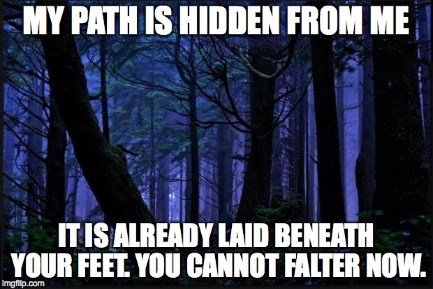 Dark forest | MY PATH IS HIDDEN FROM ME; IT IS ALREADY LAID BENEATH YOUR FEET. YOU CANNOT FALTER NOW. | image tagged in dark forest | made w/ Imgflip meme maker
