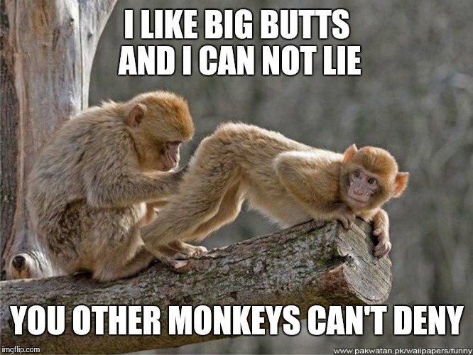 sad monkey Memes & GIFs - Imgflip