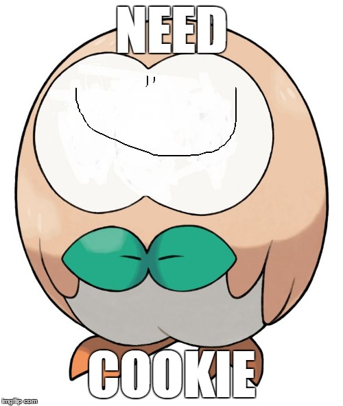 yet another rowlet face edit | NEED; COOKIE | image tagged in rowlet,face edit,pokemon sun and moon,hunger,memes,funny | made w/ Imgflip meme maker