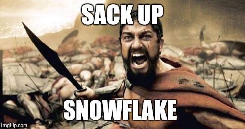 Sparta Leonidas | SACK UP; SNOWFLAKE | image tagged in memes,sparta leonidas | made w/ Imgflip meme maker
