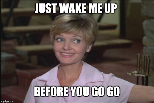 JUST WAKE ME UP BEFORE YOU GO GO | made w/ Imgflip meme maker