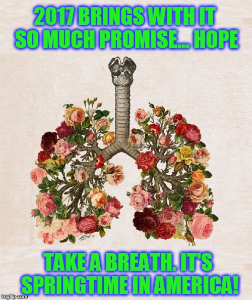 Hope for a New Beginning! | 2017 BRINGS WITH IT SO MUCH PROMISE... HOPE; TAKE A BREATH. IT'S SPRINGTIME IN AMERICA! | image tagged in vince vance,take a breath,it's springtime,2017,flowers the shape of lungs,a brighter tomorrow | made w/ Imgflip meme maker