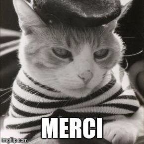 French Cat is French | MERCI | image tagged in french cat is french | made w/ Imgflip meme maker