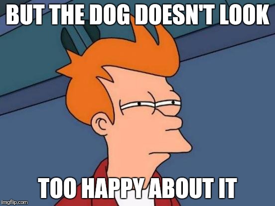 Futurama Fry Meme | BUT THE DOG DOESN'T LOOK TOO HAPPY ABOUT IT | image tagged in memes,futurama fry | made w/ Imgflip meme maker