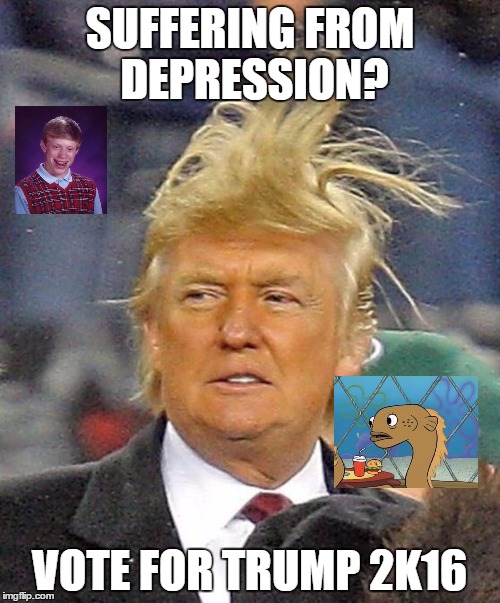 Depression. | SUFFERING FROM DEPRESSION? VOTE FOR TRUMP 2K16 | image tagged in donald trumph hair,lolz,oh god why | made w/ Imgflip meme maker