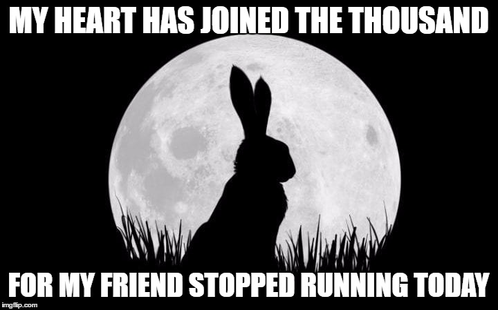 MY HEART HAS JOINED THE THOUSAND; FOR MY FRIEND STOPPED RUNNING TODAY | image tagged in watership | made w/ Imgflip meme maker