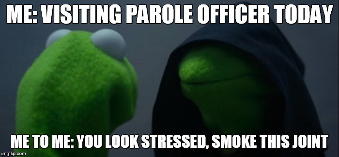 Perpetually Dysfunctional | ME: VISITING PAROLE OFFICER TODAY; ME TO ME: YOU LOOK STRESSED, SMOKE THIS JOINT | image tagged in evil kermit | made w/ Imgflip meme maker