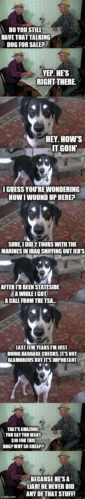 talking dog | DO YOU STILL HAVE THAT TALKING DOG FOR SALE? YEP. HE'S RIGHT THERE. HEY. HOW'S IT GOIN'; I GUESS YOU'RE WONDERING HOW I WOUND UP HERE? SURE, I DID 2 TOURS WITH THE MARINES IN IRAQ SNIFFING OUT IED'S; AFTER I'D BEEN STATESIDE A WHILE I GOT A CALL FROM THE TSA... LAST FEW YEARS I'M JUST DOING BAGGAGE CHECKS. IT'S NOT GLAMOROUS BUT IT'S IMPORTANT; THAT'S AMAZING! YOU SAY YOU WANT $10 FOR THIS DOG? WHY SO CHEAP? BECAUSE HE'S A LIAR! HE NEVER DID ANY OF THAT STUFF! | image tagged in talking dog | made w/ Imgflip meme maker