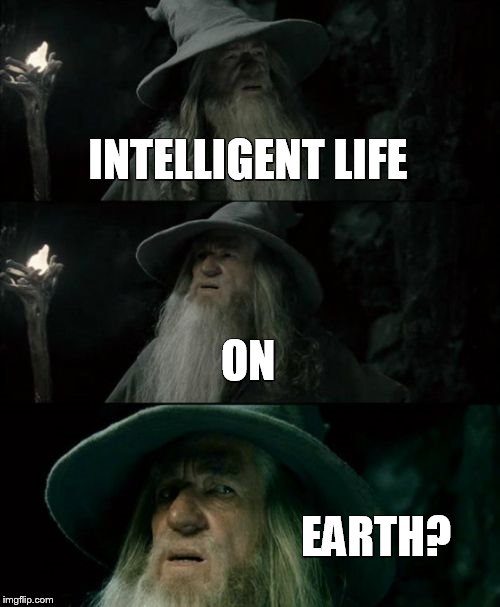 Intelligent Life? | INTELLIGENT LIFE; ON; EARTH? | image tagged in memes,confused gandalf | made w/ Imgflip meme maker