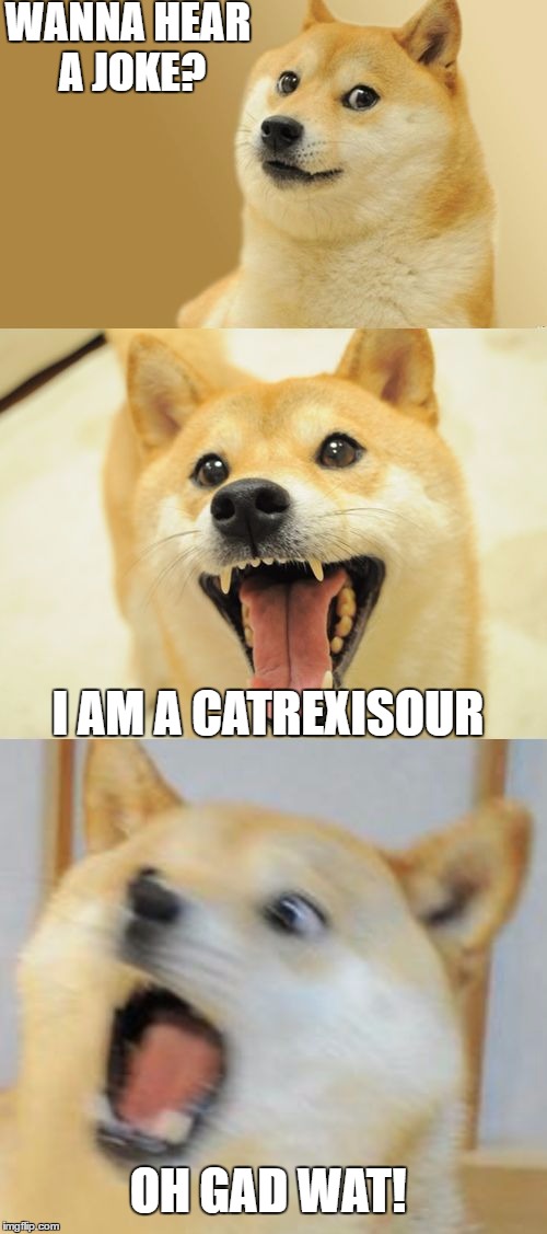 Bad Pun Doge | WANNA HEAR A JOKE? I AM A CATREXISOUR; OH GAD WAT! | image tagged in bad pun doge | made w/ Imgflip meme maker