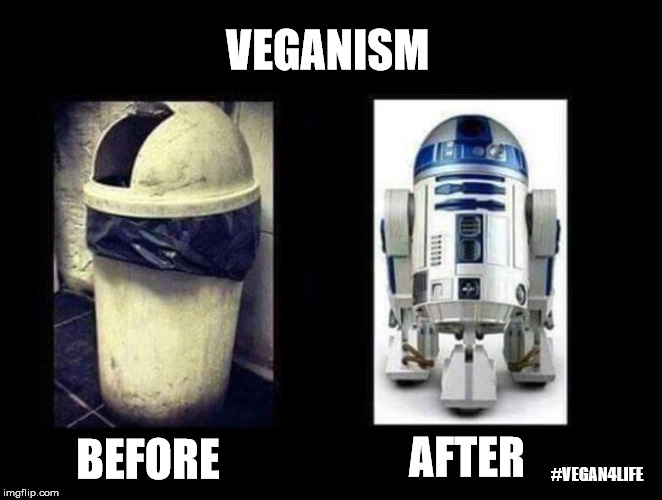 The veganism explained for star war fans. | VEGANISM; BEFORE; AFTER; #VEGAN4LIFE | image tagged in before and after,memes,funny memes,star wars,vegan4life | made w/ Imgflip meme maker