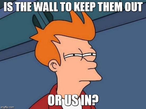 Remember the Berlin Wall? | IS THE WALL TO KEEP THEM OUT; OR US IN? | image tagged in memes,futurama fry,political meme | made w/ Imgflip meme maker