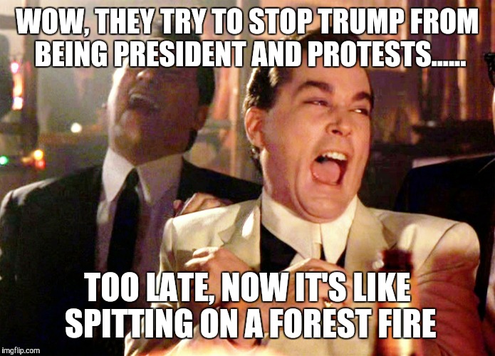 Good Fellas Hilarious Meme | WOW, THEY TRY TO STOP TRUMP FROM BEING PRESIDENT AND PROTESTS...... TOO LATE, NOW IT'S LIKE SPITTING ON A FOREST FIRE | image tagged in memes,good fellas hilarious,trump | made w/ Imgflip meme maker