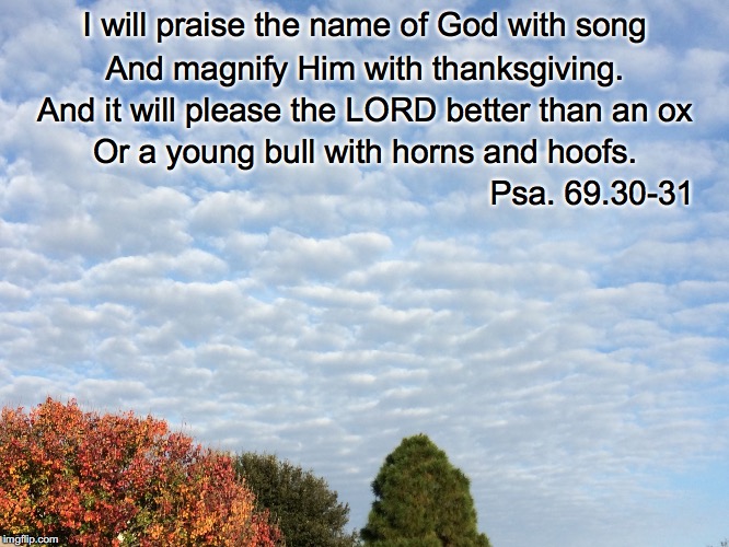 I will praise the name of God with song; And magnify Him with thanksgiving. And it will please the LORD better than an ox; Or a young bull with horns and hoofs. Psa. 69.30-31 | image tagged in song | made w/ Imgflip meme maker
