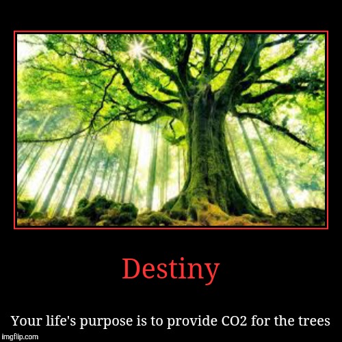 Destiny | Your life's purpose is to provide CO2 for the trees | image tagged in funny,demotivationals | made w/ Imgflip demotivational maker