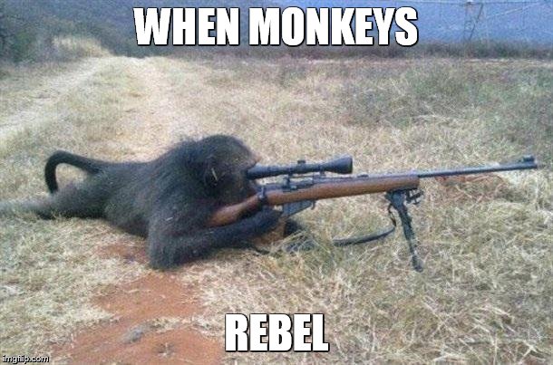 Proof, We are Descended From Monkeys | WHEN MONKEYS; REBEL | image tagged in sniper monkey,darwin,violence,memes,funny | made w/ Imgflip meme maker
