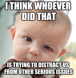 Skeptical Baby Meme | I THINK WHOEVER DID THAT IS TRYING TO DISTRACT US FROM OTHER SERIOUS ISSUES | image tagged in memes,skeptical baby | made w/ Imgflip meme maker