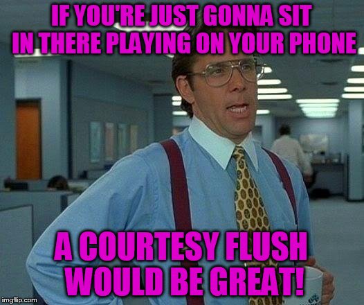 Seriously, or at least hit the air freshener a few times! | IF YOU'RE JUST GONNA SIT IN THERE PLAYING ON YOUR PHONE; A COURTESY FLUSH WOULD BE GREAT! | image tagged in memes,that would be great,potty humor,toilet humor | made w/ Imgflip meme maker