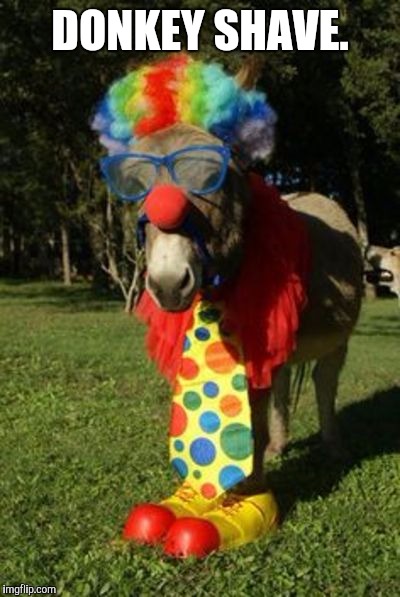 Ass clown | DONKEY SHAVE. | image tagged in ass clown | made w/ Imgflip meme maker
