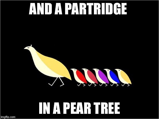 AND A PARTRIDGE IN A PEAR TREE | made w/ Imgflip meme maker