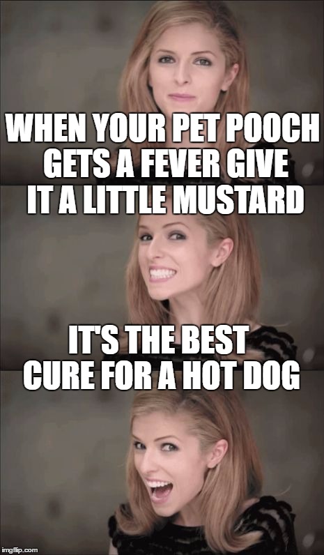 Bad Pun Anna Kendrick | WHEN YOUR PET POOCH GETS A FEVER GIVE IT A LITTLE MUSTARD; IT'S THE BEST CURE FOR A HOT DOG | image tagged in memes,bad pun anna kendrick | made w/ Imgflip meme maker