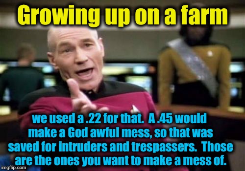 Picard Wtf Meme | Growing up on a farm we used a .22 for that.  A .45 would make a God awful mess, so that was saved for intruders and trespassers.  Those are | image tagged in memes,picard wtf | made w/ Imgflip meme maker