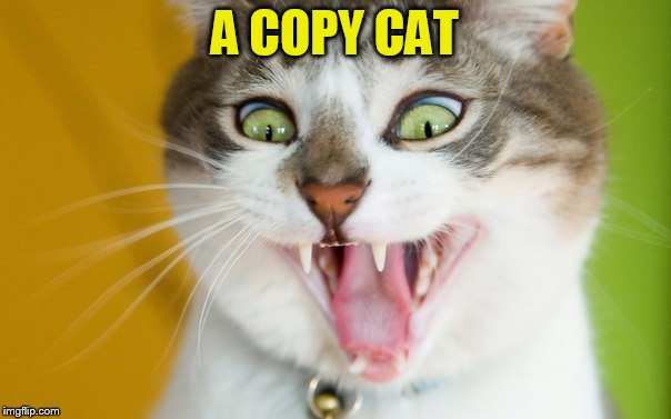 A COPY CAT | made w/ Imgflip meme maker