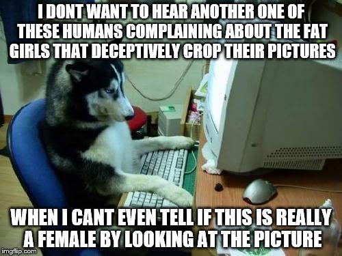 dog on computer | I DONT WANT TO HEAR ANOTHER ONE OF THESE HUMANS COMPLAINING ABOUT THE FAT GIRLS THAT DECEPTIVELY CROP THEIR PICTURES; WHEN I CANT EVEN TELL IF THIS IS REALLY A FEMALE BY LOOKING AT THE PICTURE | image tagged in dog on computer,memes,funny | made w/ Imgflip meme maker