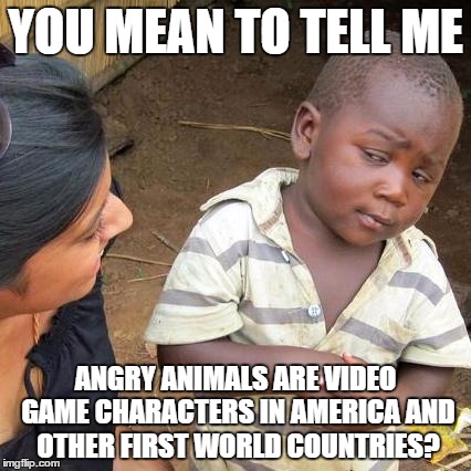 Third World Skeptical Kid | YOU MEAN TO TELL ME; ANGRY ANIMALS ARE VIDEO GAME CHARACTERS IN AMERICA AND OTHER FIRST WORLD COUNTRIES? | image tagged in memes,third world skeptical kid | made w/ Imgflip meme maker