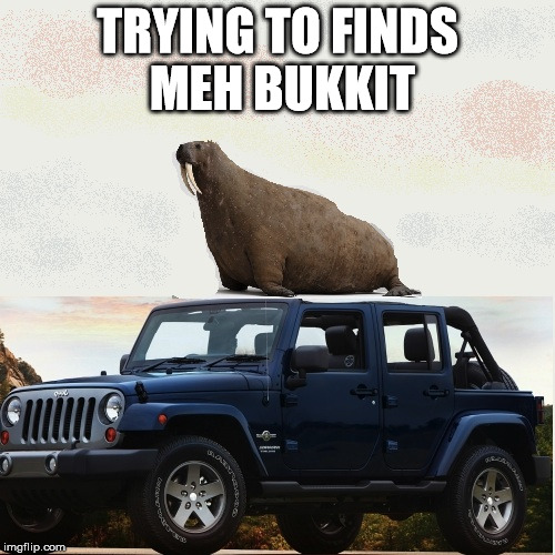 walrus | TRYING TO FINDS MEH BUKKIT | image tagged in walrus | made w/ Imgflip meme maker